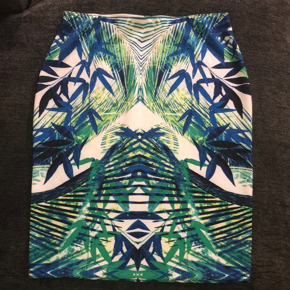 APT skirt size XL